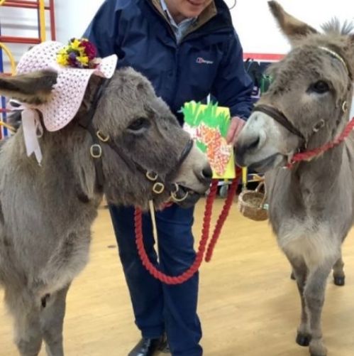 Wyeknot Donkey Visit